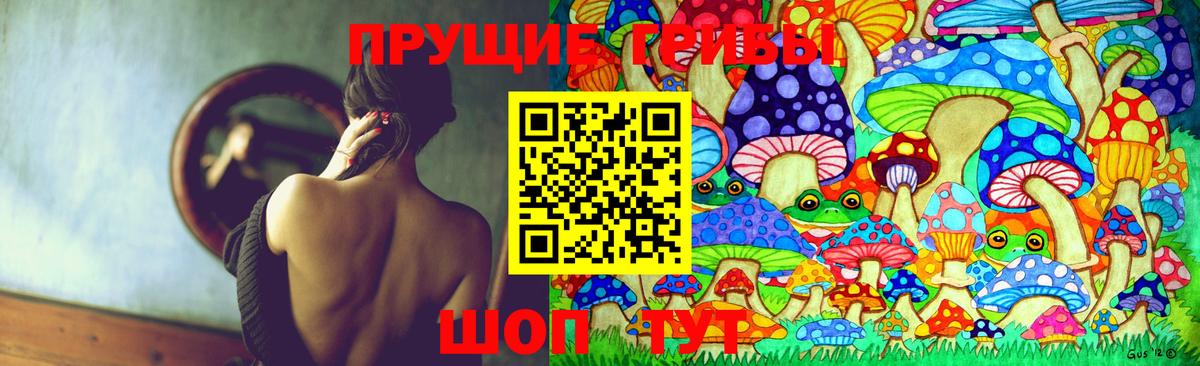 Серов  Галлюциногенные грибы прущие грибы  Вход с VPN 